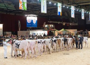 De opgave voor de Holland Holsteins sHow is geopend!